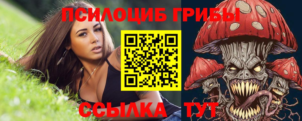 Галлюциногенные грибы прущие грибы  Вход с VPN  Сертолово 